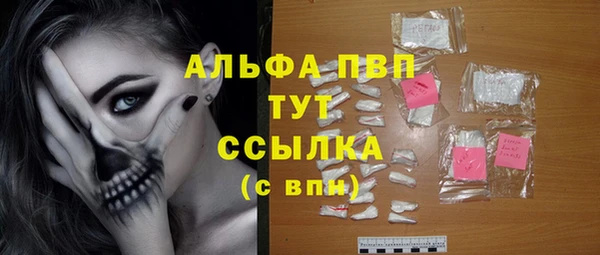 ешки Аркадак