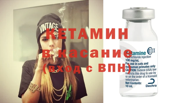 шишки Арсеньев