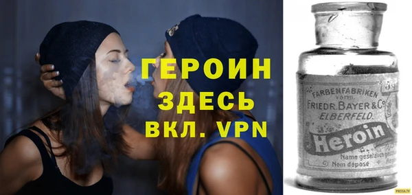 шишки Арсеньев