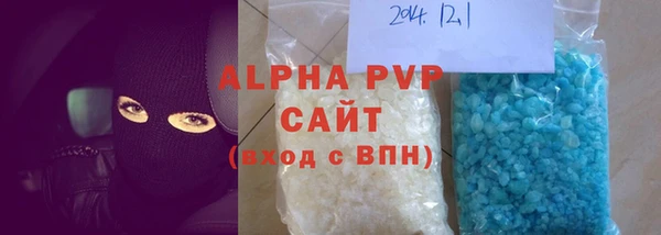 шишки Арсеньев