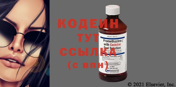 шишки Арсеньев