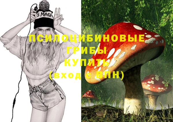 ешки Аркадак