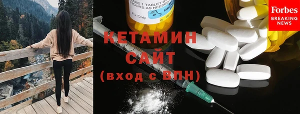 шишки Арсеньев